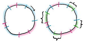 Your Consistent Hashing Ring