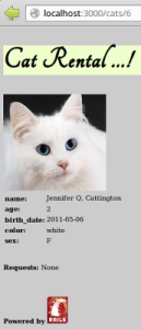 Our Cat for Rent